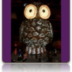 Obnoxious Owl